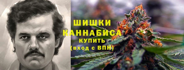 молекула духа Новодвинск