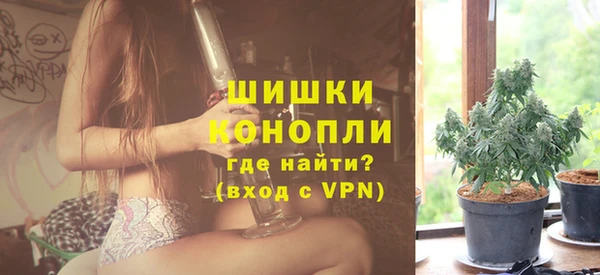 молекула духа Новодвинск