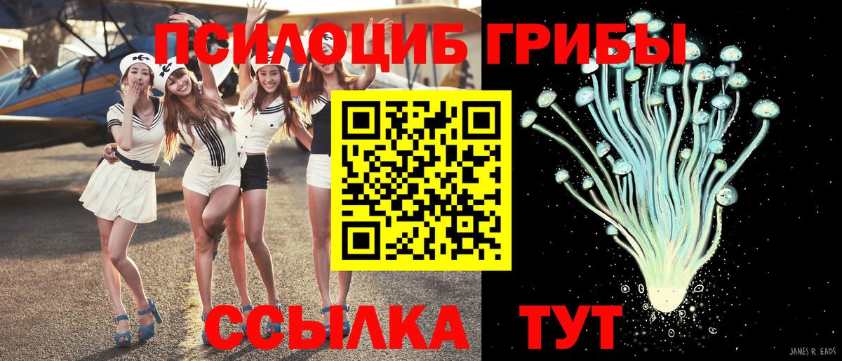 Псилоцибиновые грибы Cubensis Кубинка