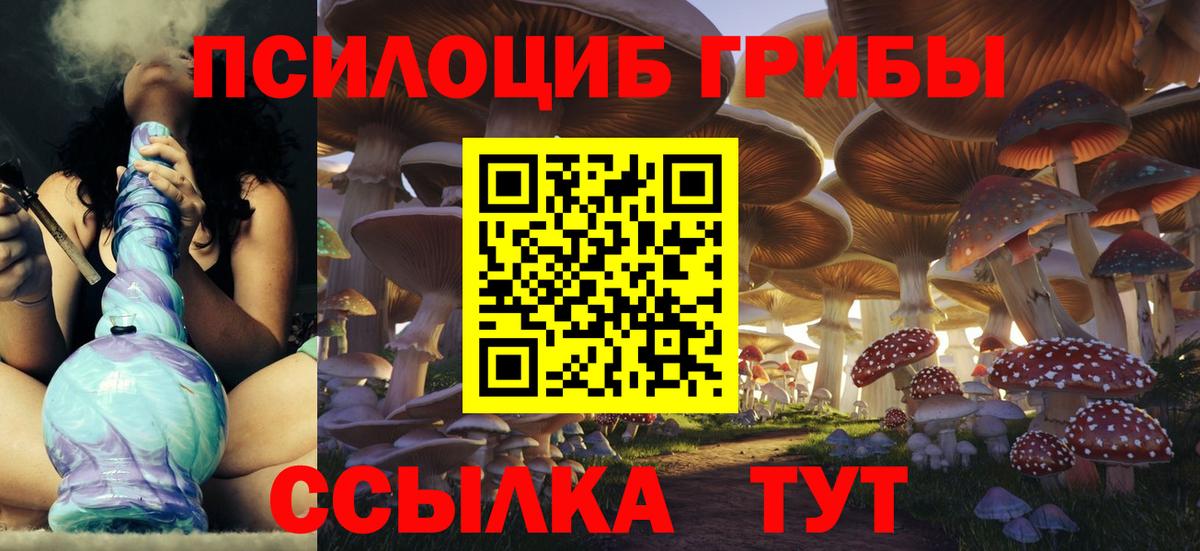 Галлюциногенные грибы Psilocybe  Вход с VPN  Кубинка 