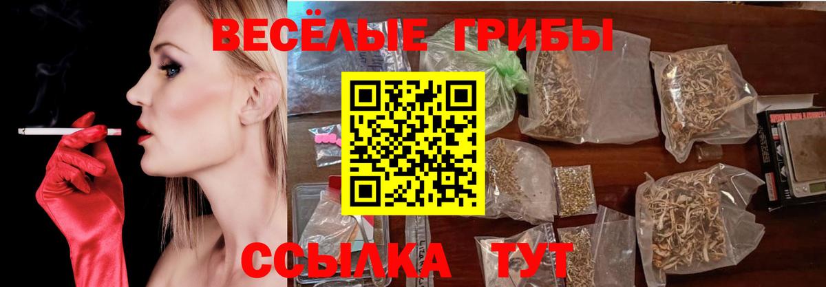 купить наркоту  Кубинка  Галлюциногенные грибы Psilocybine cubensis 